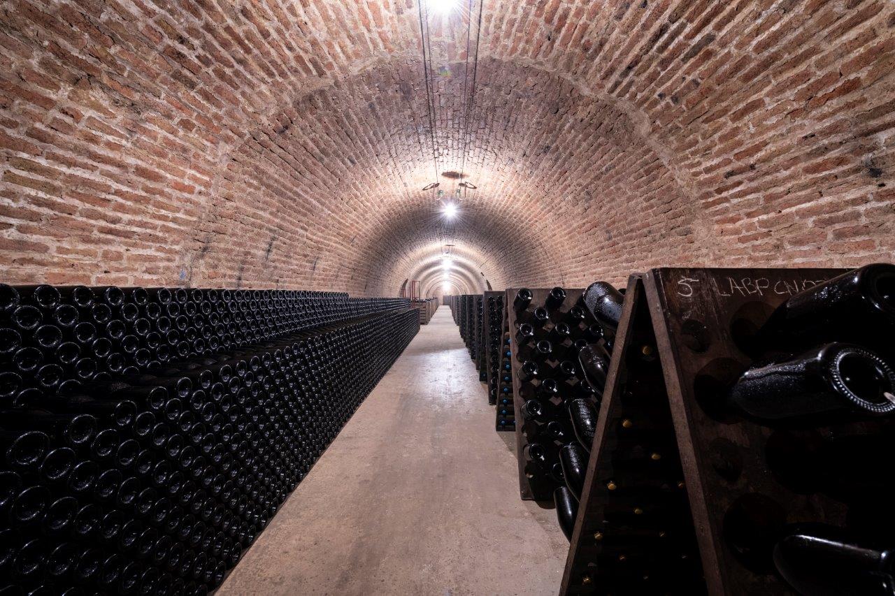 Champagne Cattier - Chigny les Roses - Montagne de Reims